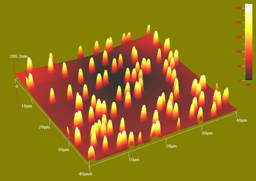 Schematic of Particle Embedment