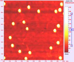 AFM image 