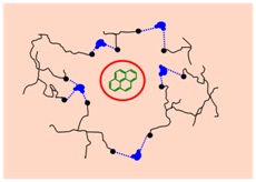 water molecule bridges
