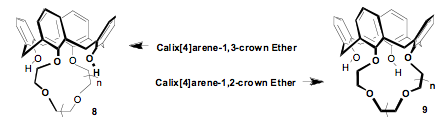 structures are shown with the calix[4]arene unit in the cone conformation