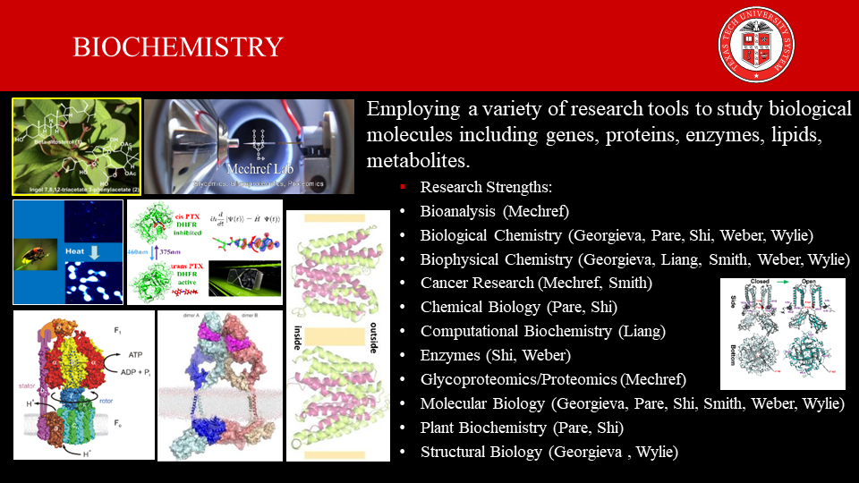 Analytical Division