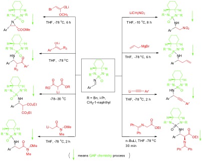 GAP Chemistry of Chiral N-Phosphonyl Imines