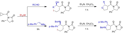 Asymmetric 2,3-disubstituted tetrahydrofuran and amine formations