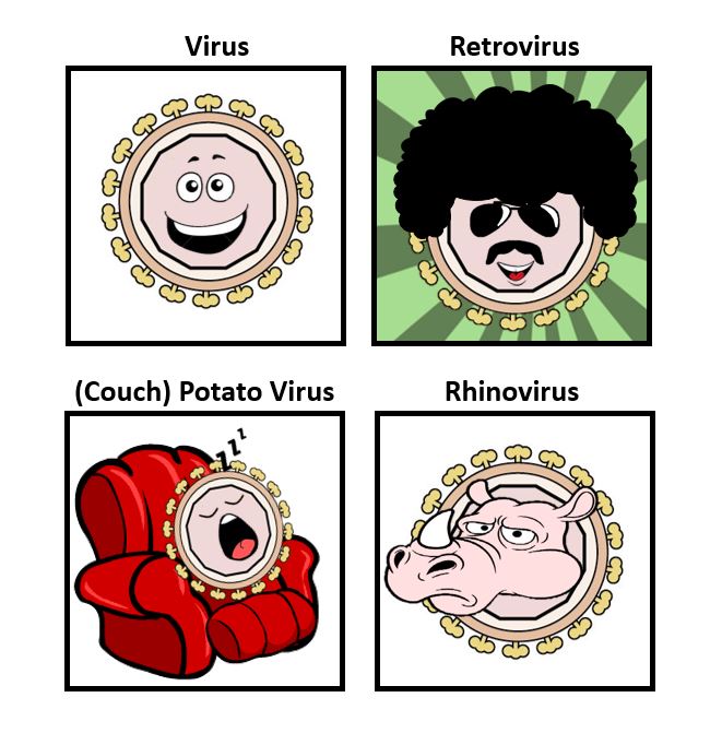 Virus Design
