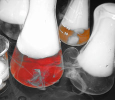 Home Page Image