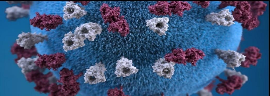 Measles is Highly Contagious