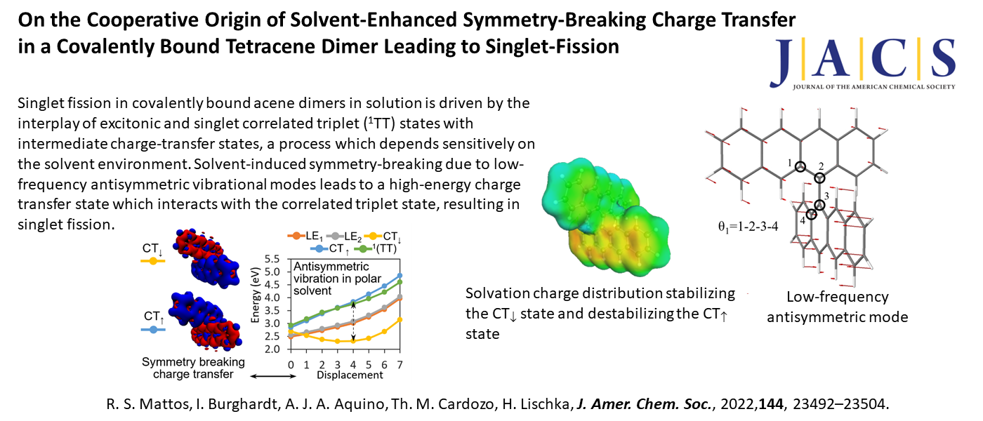 On the Cooperative Origin of Solvent-Enhanced Symmetry-Breaking Charge Transfer in a Covalently Bound Tetracene Dimer Leading to Singlet-Fission