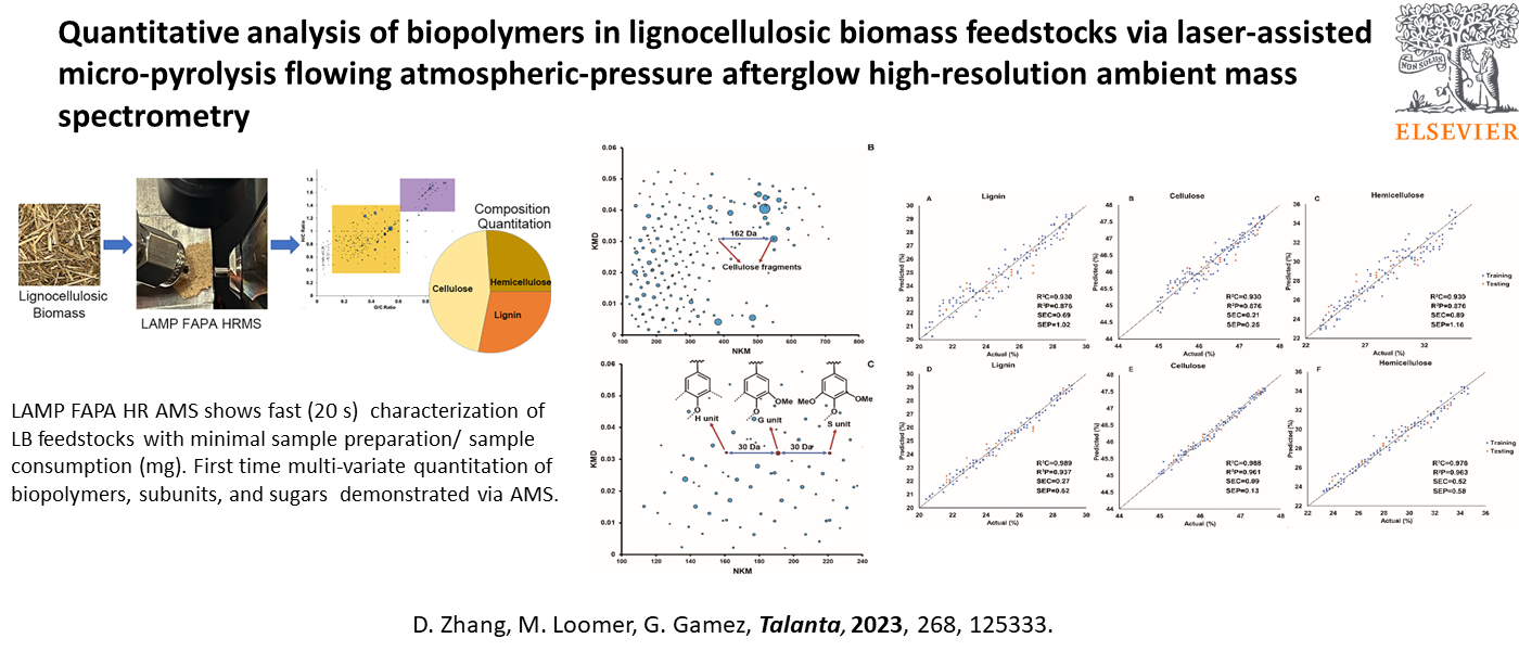 Quantitative analysis of biopolymers in lignocellulosic biomass feedstocks via laser-assisted micro-pyrolysis flowing atmospheric-pressure afterglow high-resolution ambient mass spectrometry
