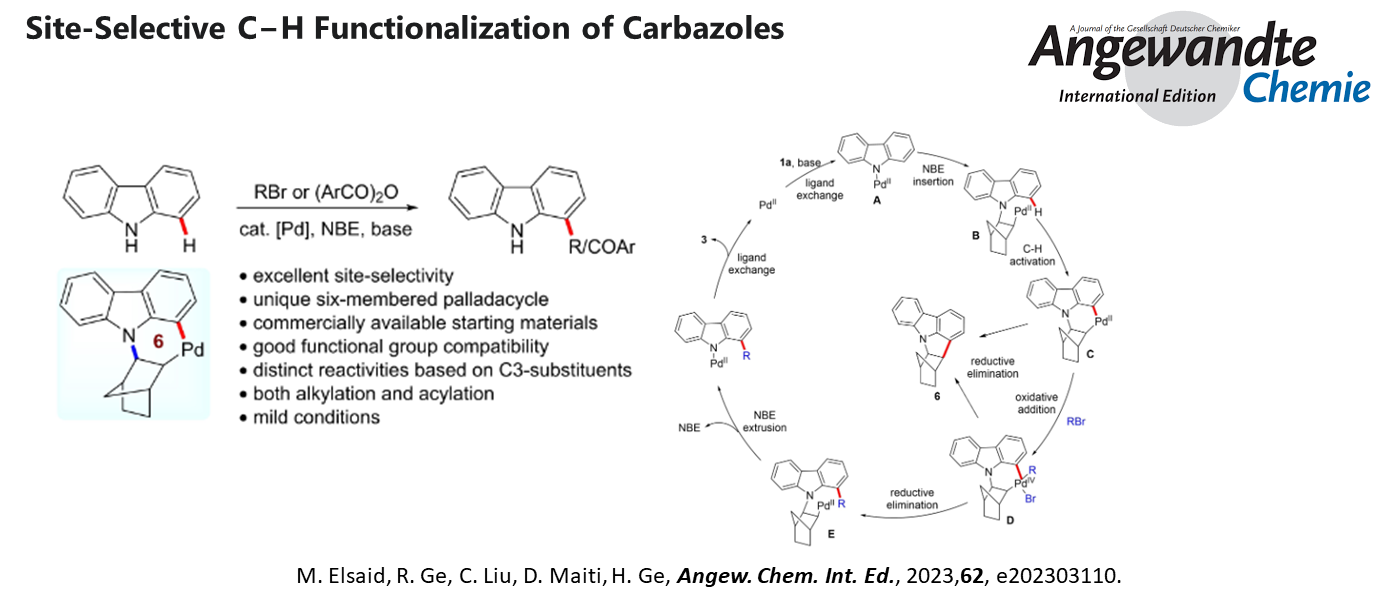 Site-Selective C-H Functionalization of Carbazoles
