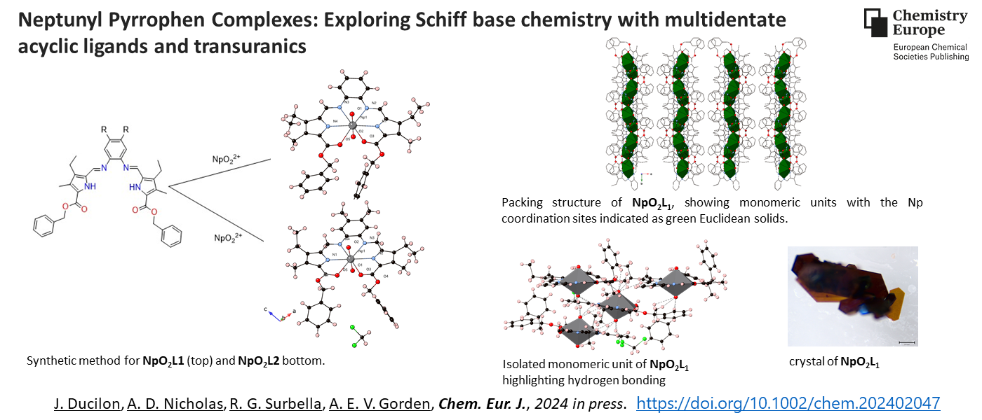 Neptunyl Pyrrophen Complexes: Exploring Schiff base chemistry with multidentate acyclic ligands and transuranics
