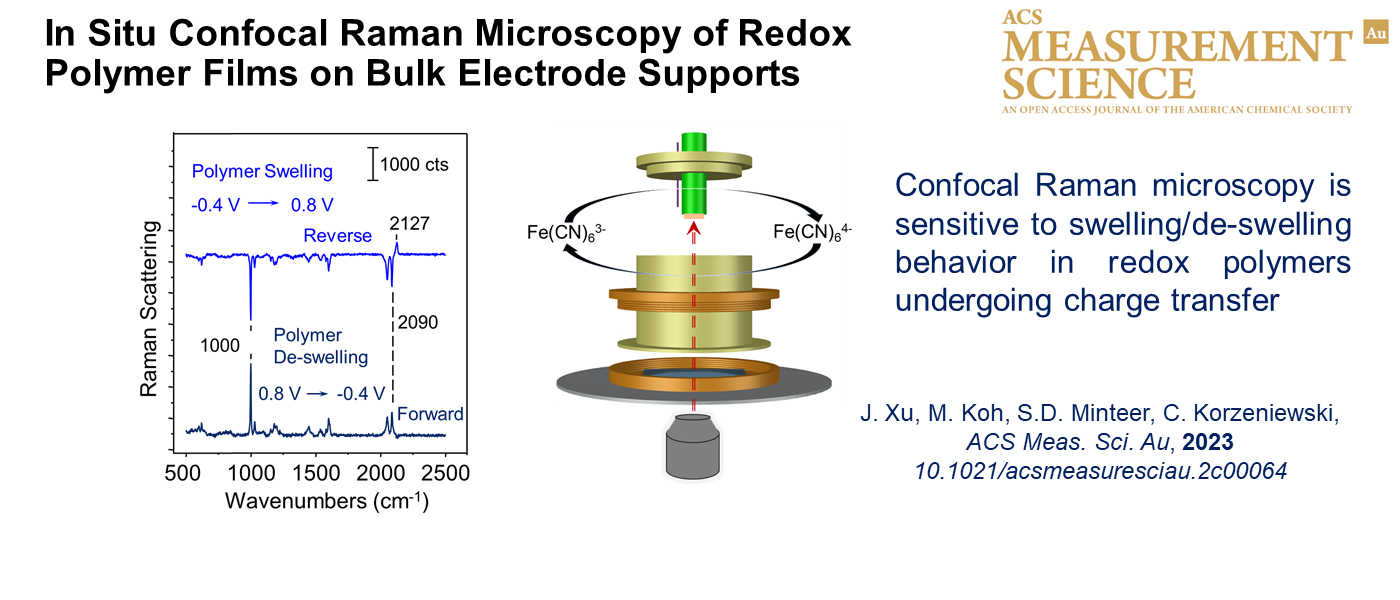 In Situ Confocal Raman Microscopy of Redox Polymer Films on Bulk Electrode Supports