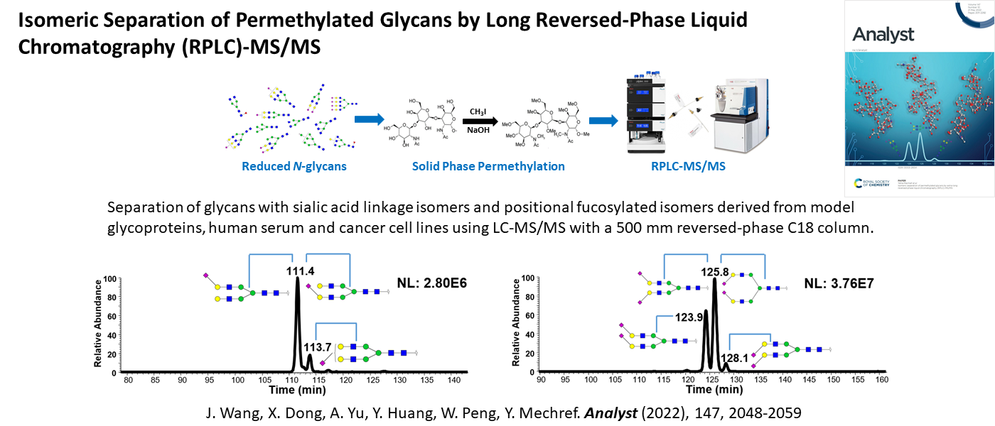 Isomeric Separation of Permethylated Glycans by Long Reversed-Phase Liquid Chromatography (RPLC)- MS/MS