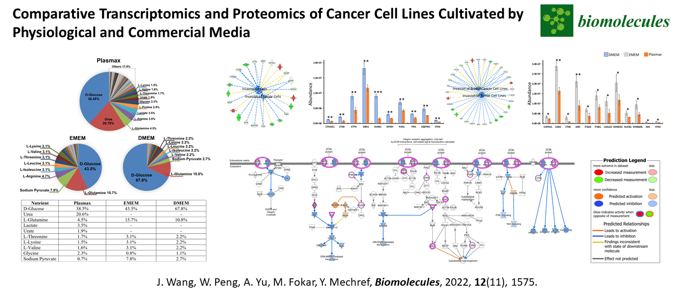Comparative Transcriptomics and Proteomics of Cancer Cell Lines Cultivated by Physiological and Commercial Media
