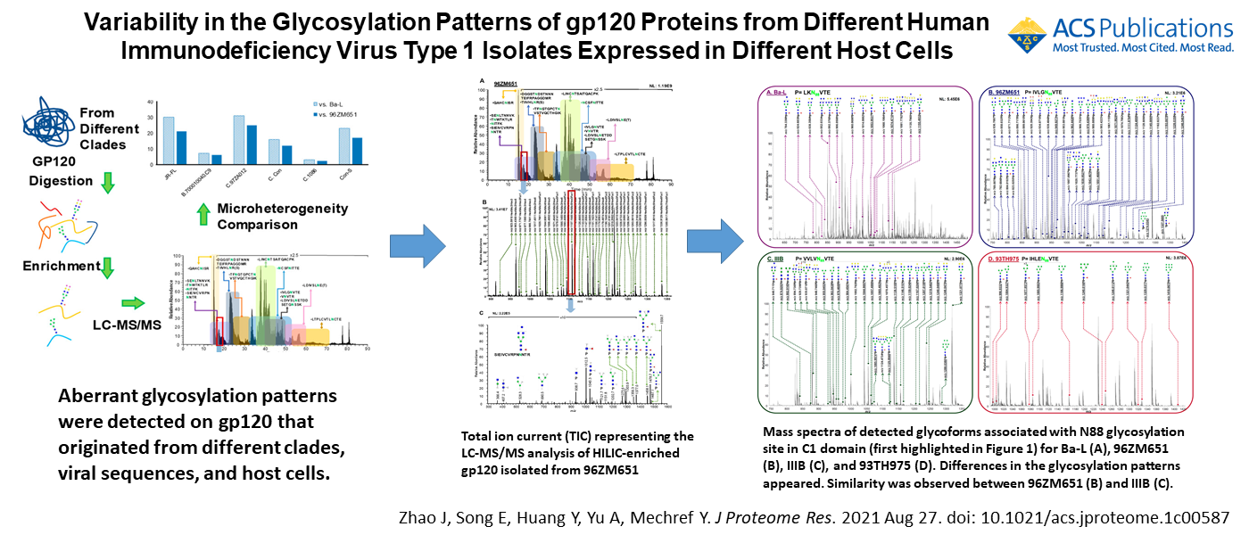 Variability in the Glycosylation Patterns of gp120 Proteins from Different Human Immunodeficiency Virus Type 1 Isolates Expressed in Different Host Cells