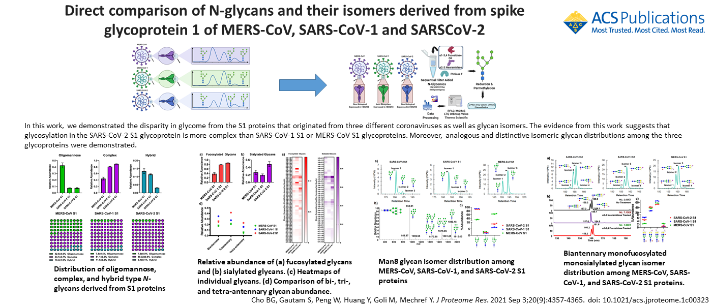 Direct Comparison of N-Glycans and Their Isomers Derived from Spike Glycoprotein 1 of MERS-CoV, SARS-CoV-1, and SARS-CoV-2