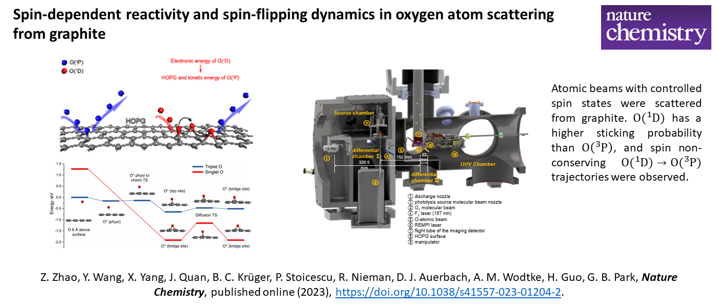 Spin-dependent reactivity and spin-flipping dynamics in oxygen atom scattering from graphite
