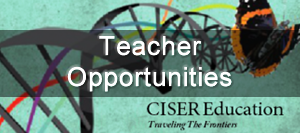 Teacher Opportunities