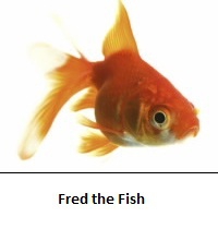 fredthefish