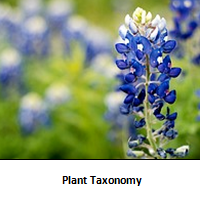 planttaxx