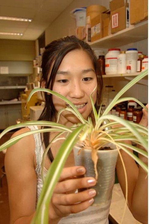 Margaret Chiu