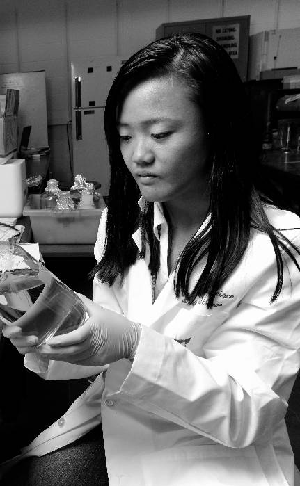 Mingmei Niu