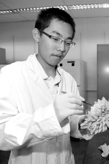 Youyang Gu