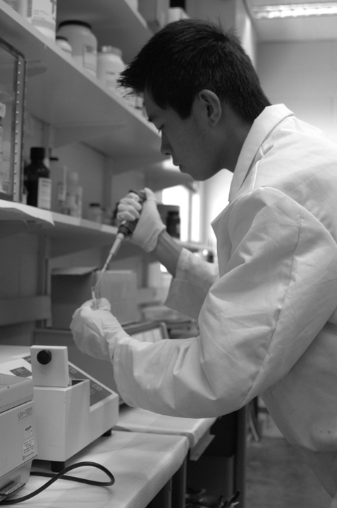 Yanqi Chen