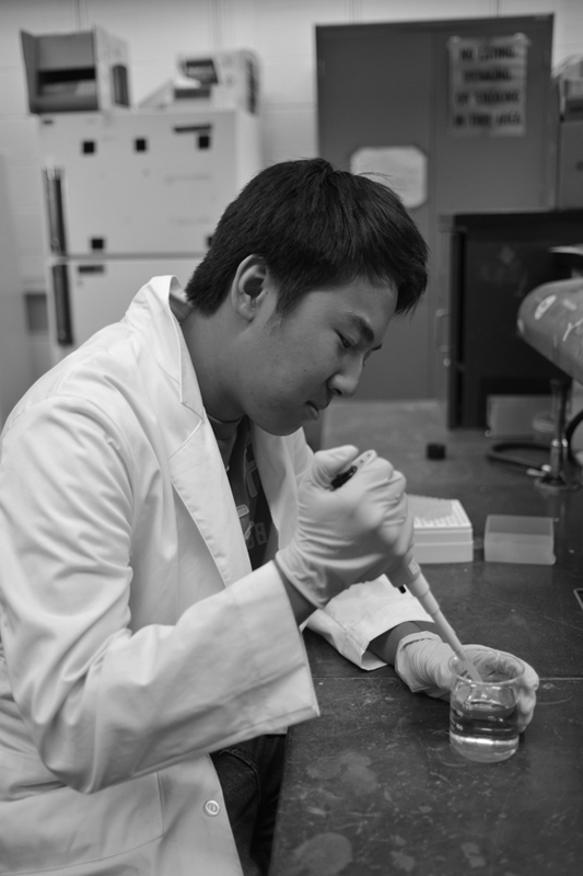 David Chen
