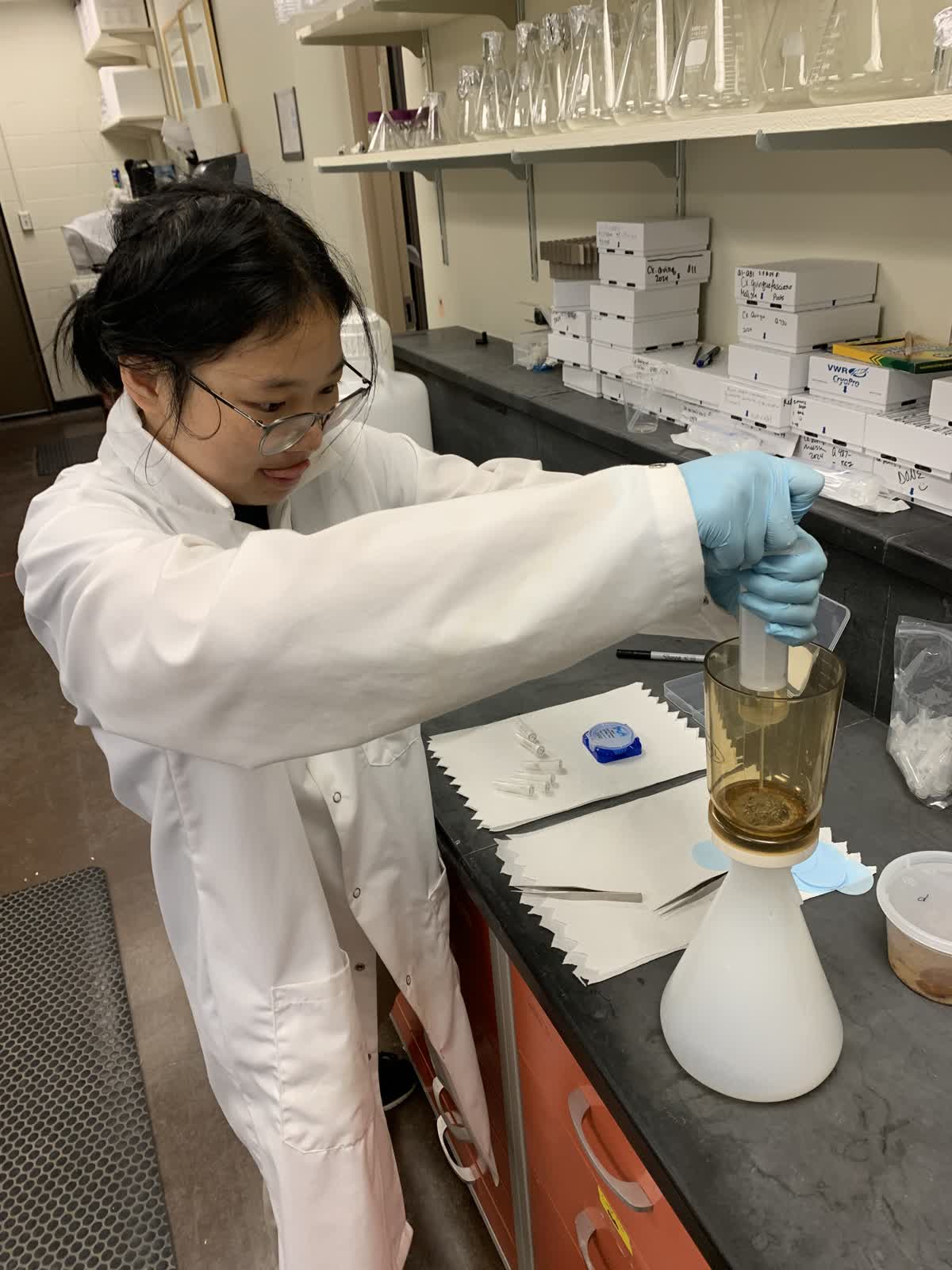 Clark Scholar – Angelina Sun