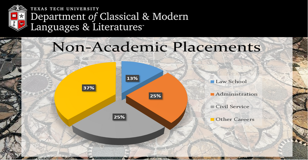 non-academic placement pie chart