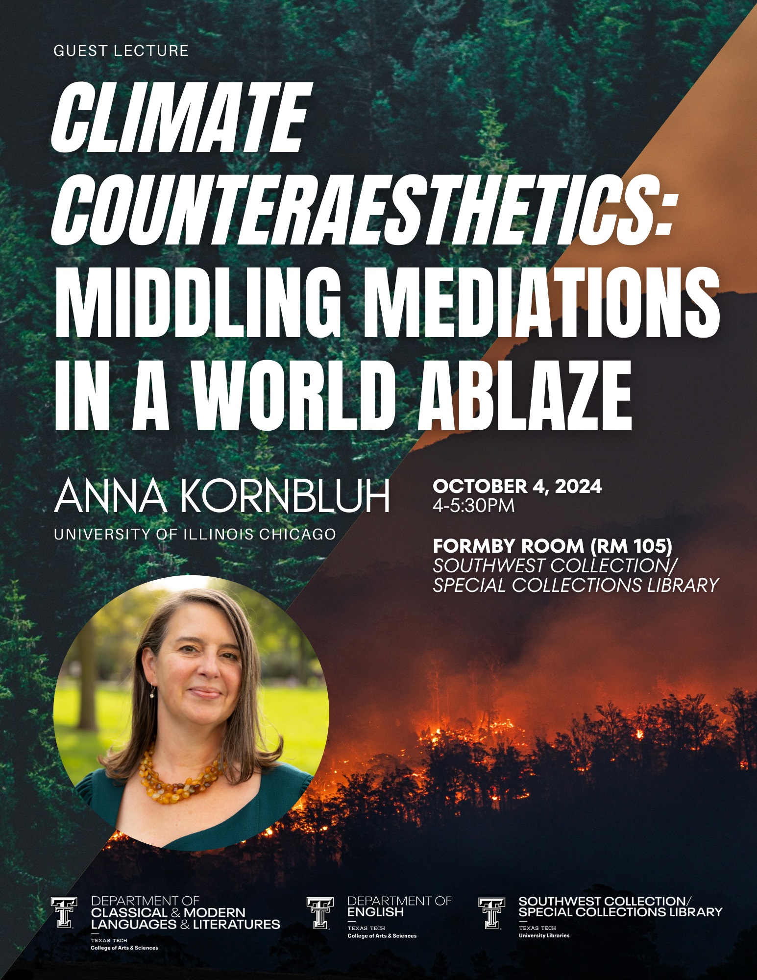 Climate Counteraesthetics