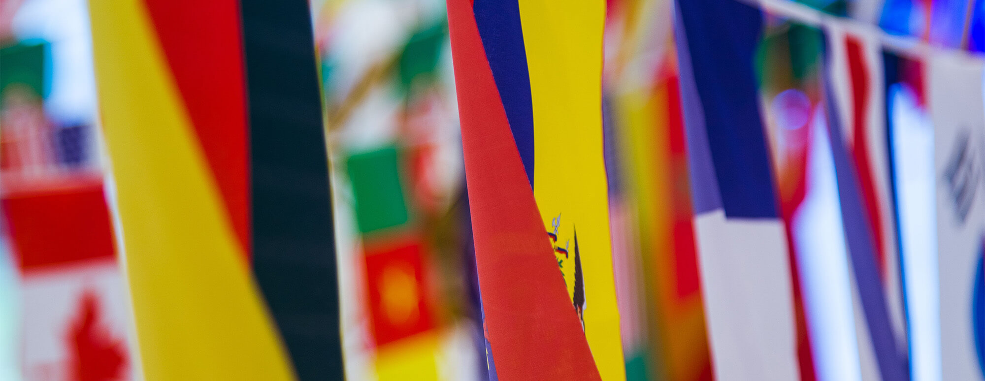 international flags