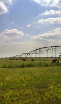 Lubbock Land Application Site