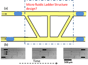 Potential Microfluidic Ladder Design