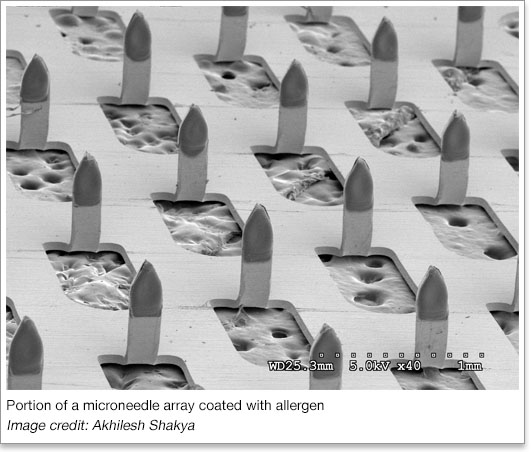 MN array with allergen