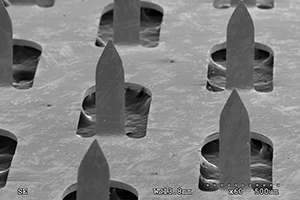Portion of Microneedle Array