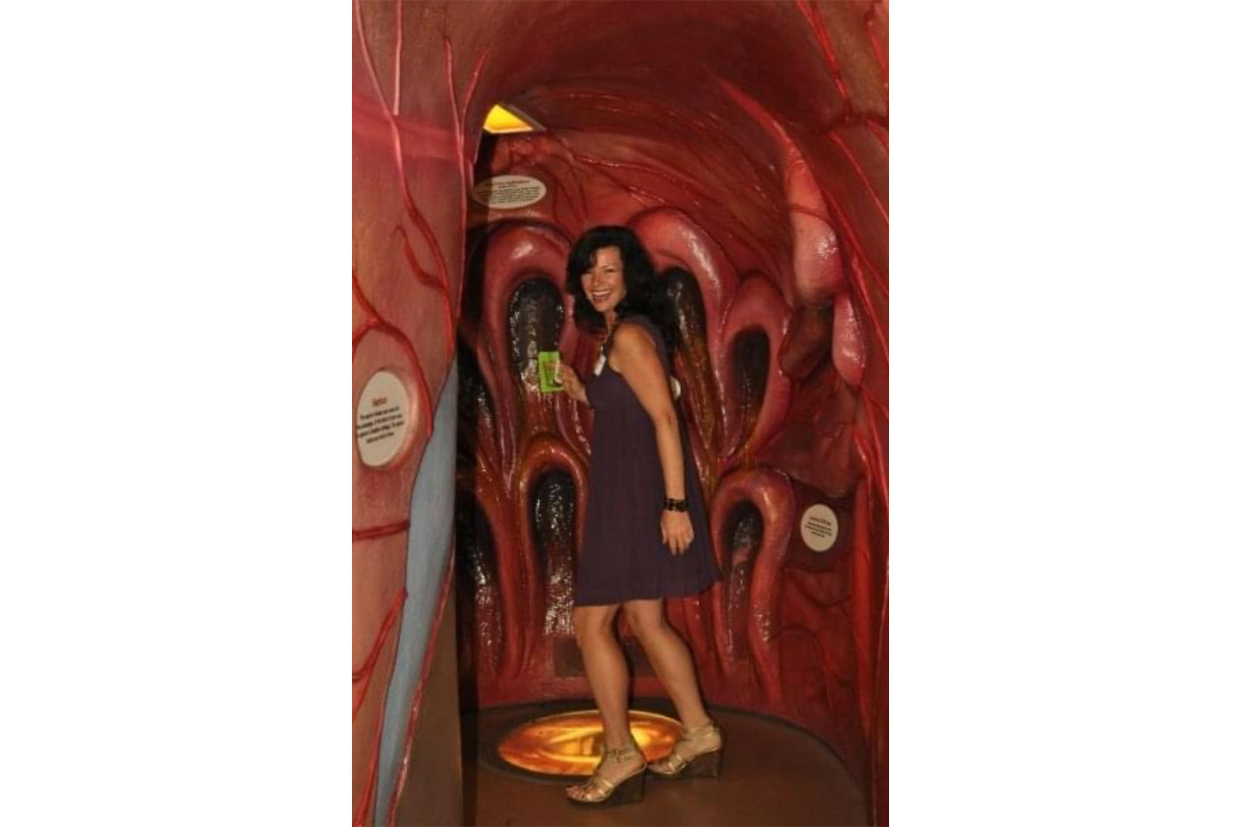 exhibit