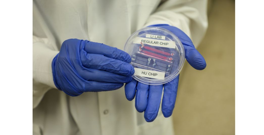 Microchip technology from Li's lab