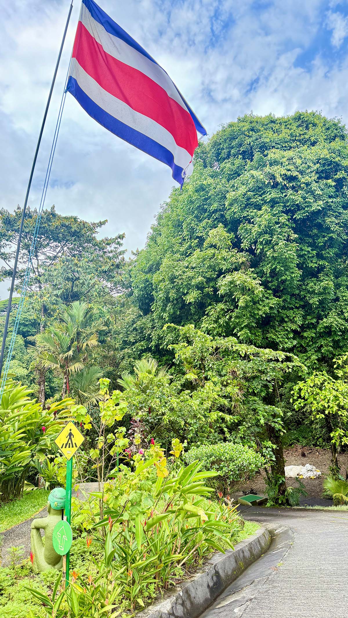 Costa Rica flag in front of trees