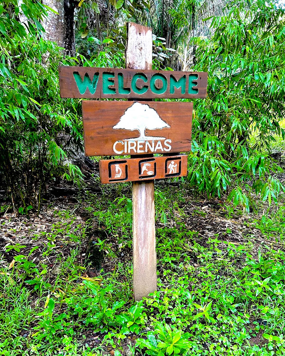 Welcome to CIRENAS sign in jungle