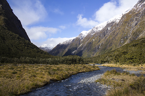 New Zealand River Valley