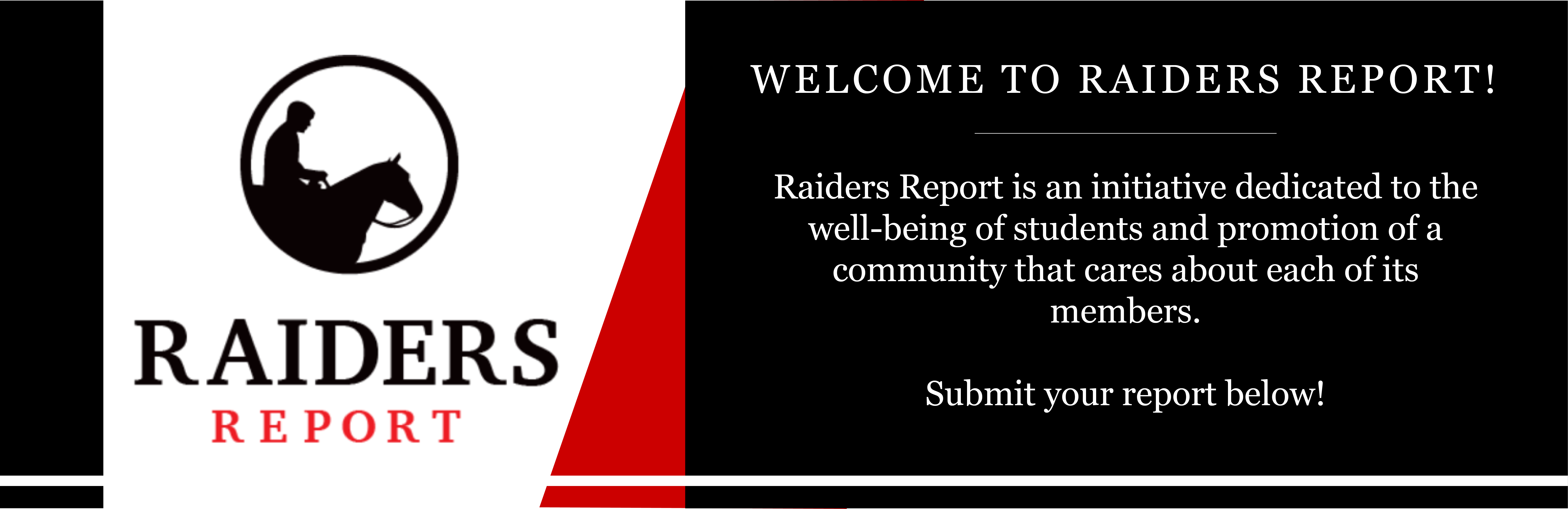 Raiders Report Header