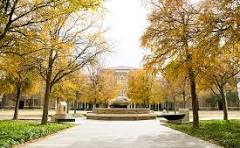 Fall @ TTU