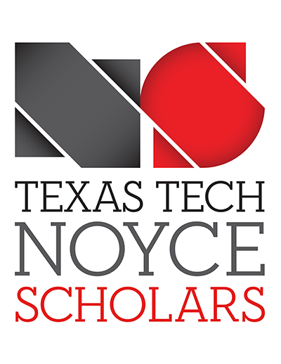 Noyce Scholars logo