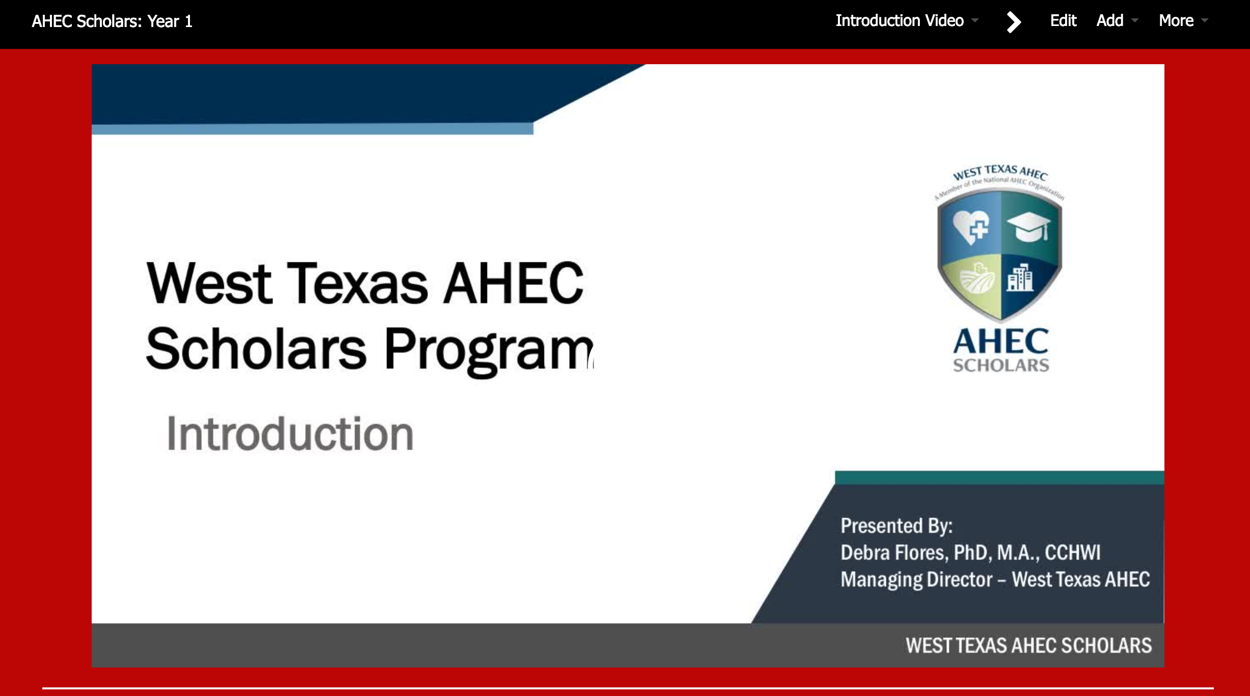 AHEC Scholars project poster