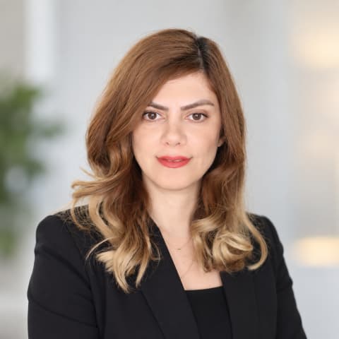Parynaz Raeiszadeh Oskouei Parynaz Raeiszadeh Oskouei
