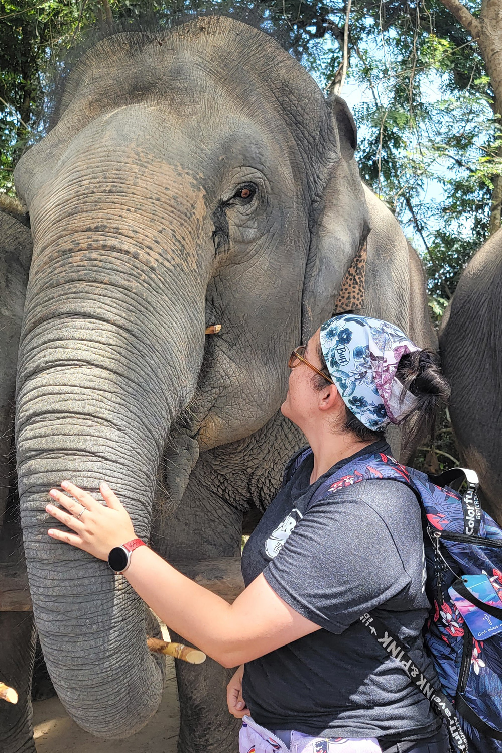 Jennifer & an elephant
