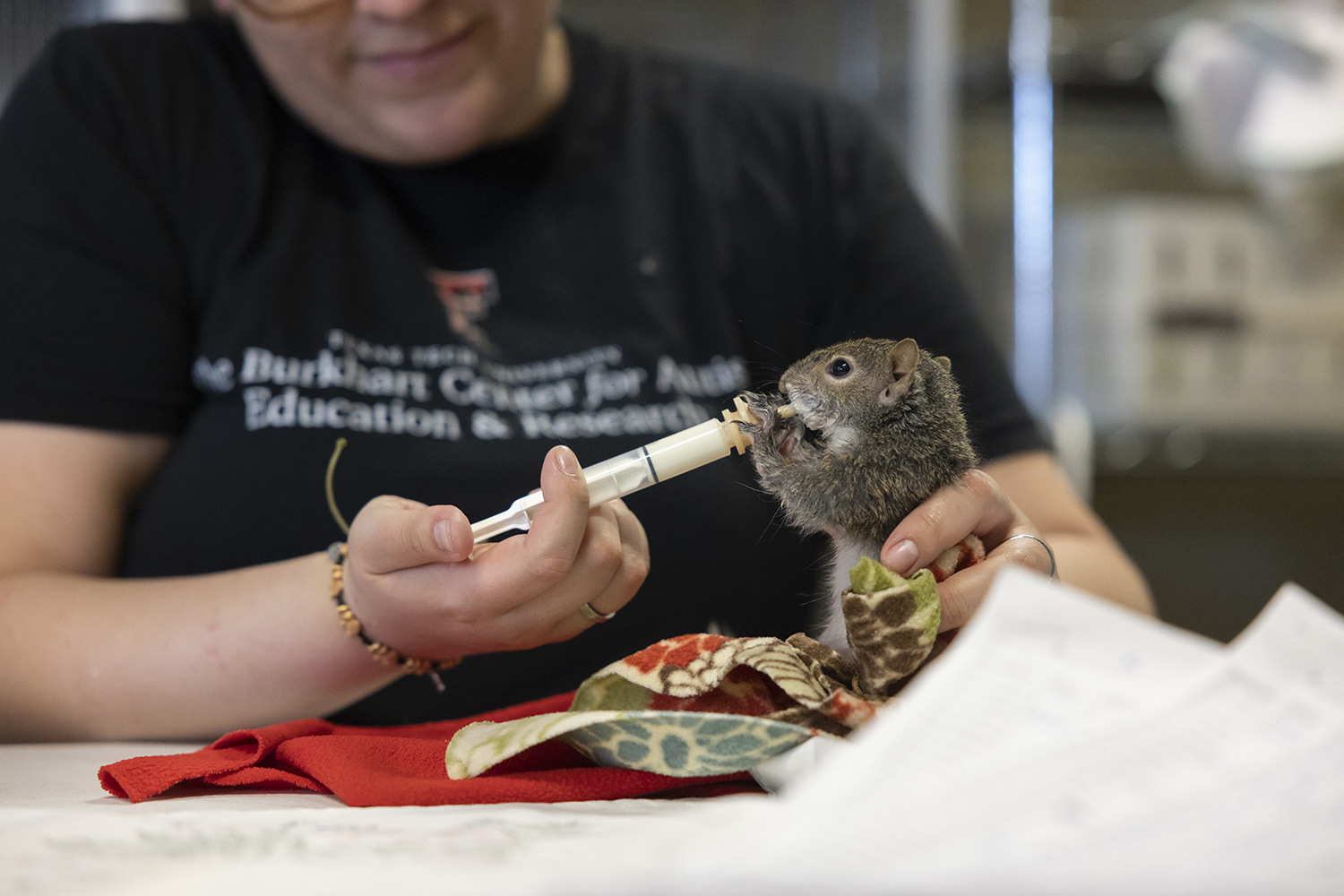 Jennifer feeds a squirrel