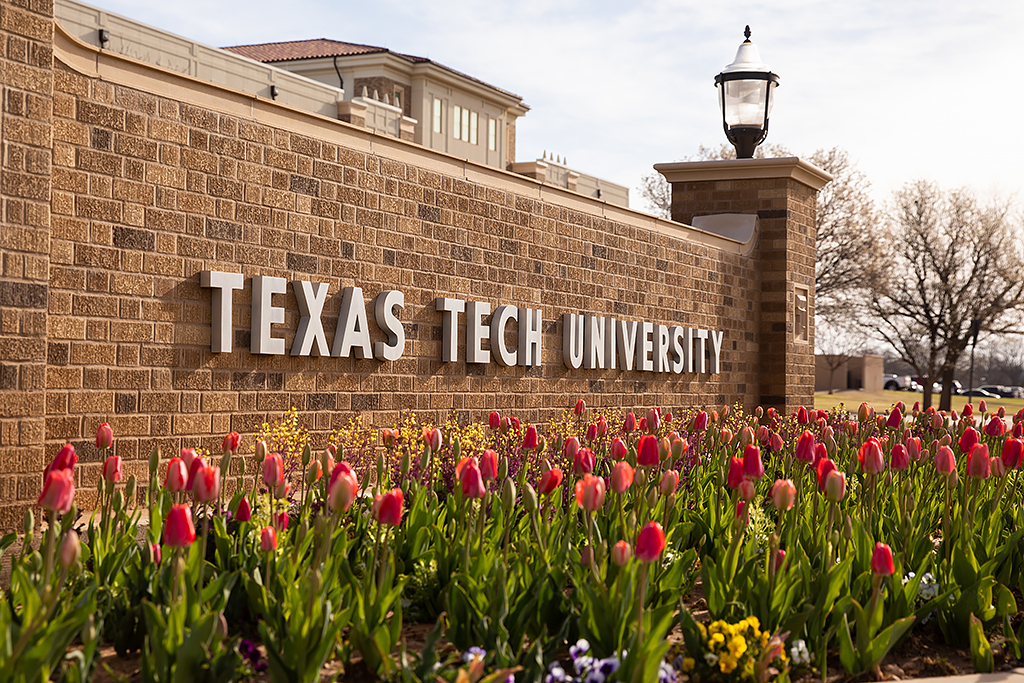 Texas Tech University sign with tulips