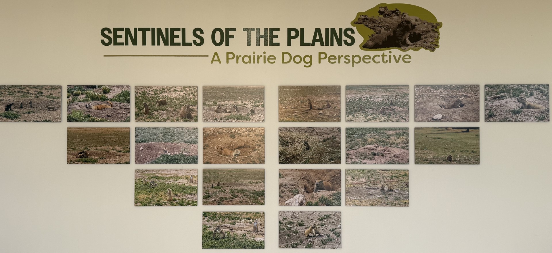 Gallery of photos in the museum of texas tech